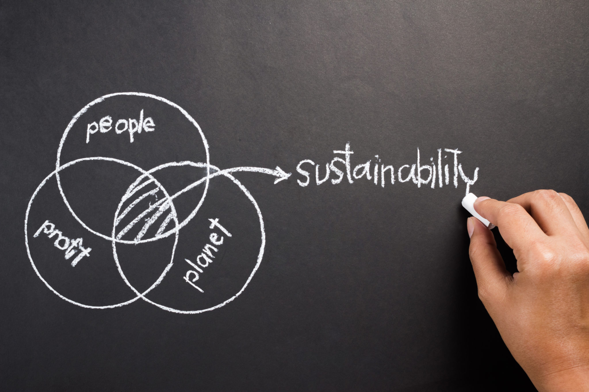 sustainability-consulting-warm-springs-consulting